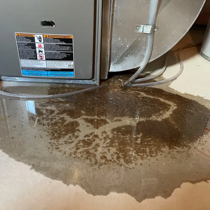 Appliance Leak Cleanup in Battle Mountain, NV